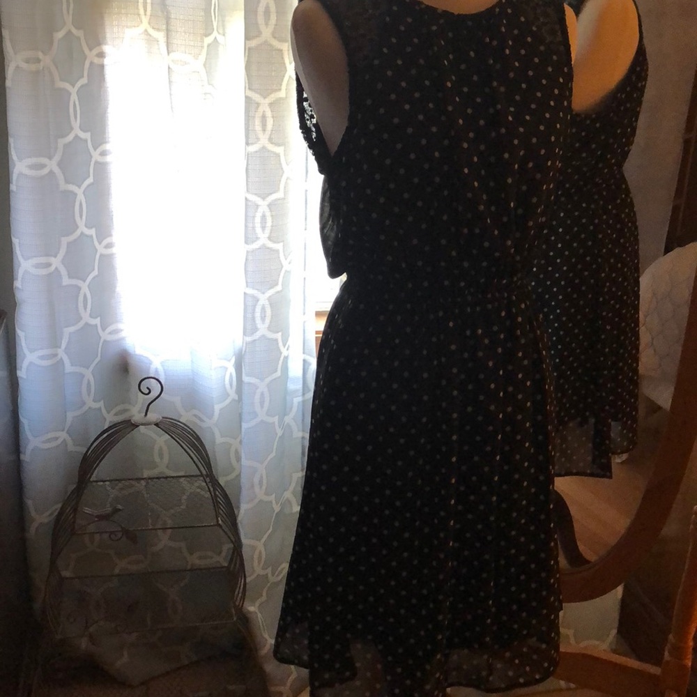 Poke a dot and lace dress